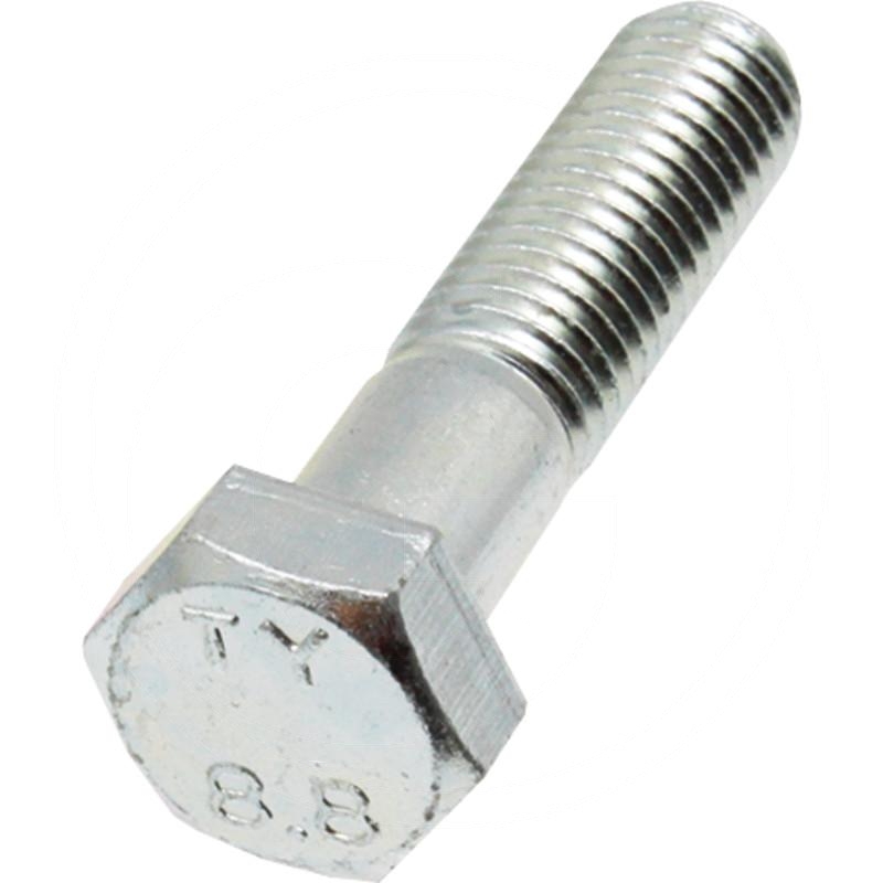 Bolt | zdjęcie nr 1